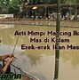 Mimpi Dapat Ikan Lele Togel 4D